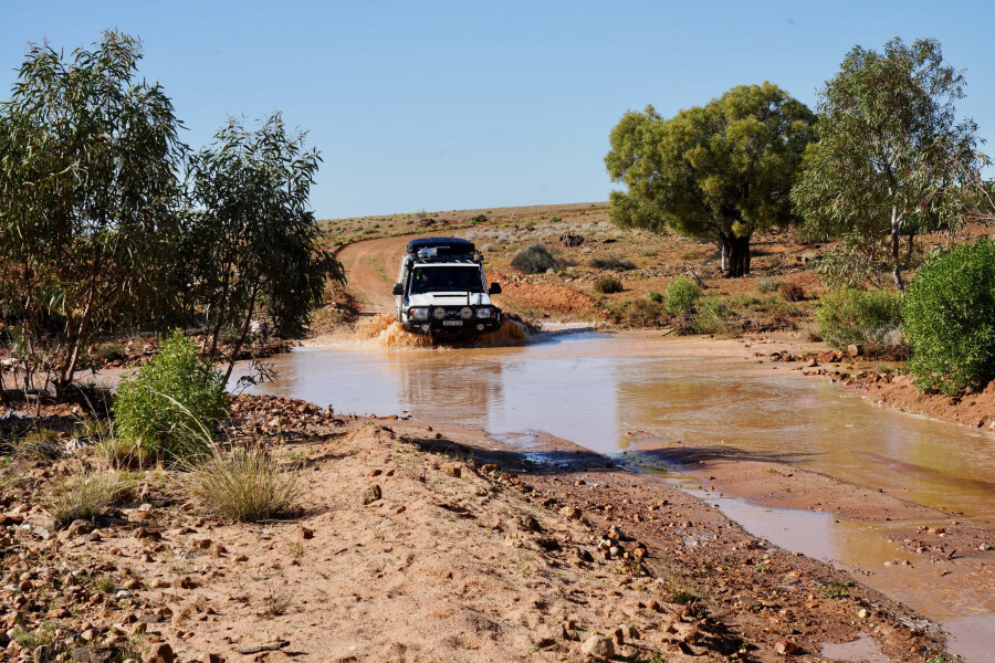 99ce28d4/4x4 australia explore cooper creek sa ttc020 more creeks were flowing as we headed north jpg